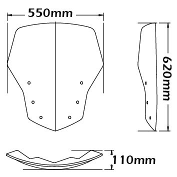 Windschutzscheibe Originaltyp für BMW K 1200 GT /K 1300 GT, leicht getönt